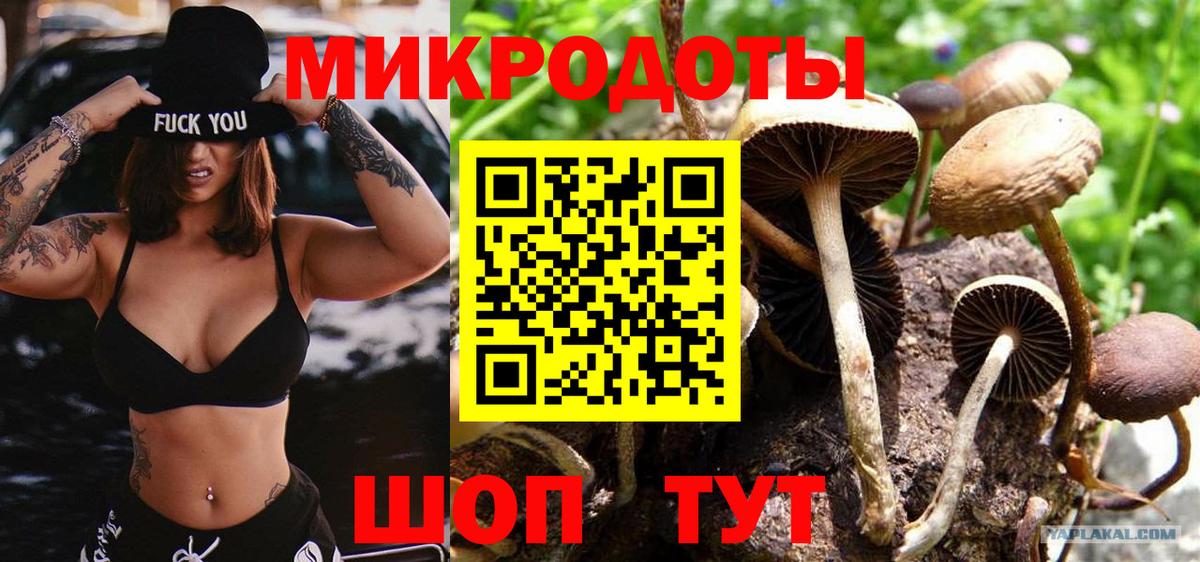 Псилоцибиновые грибы Magic Shrooms Туапсе