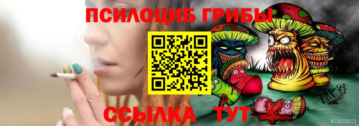 Галлюциногенные грибы Magic Shrooms  Галлюциногенные грибы Psilocybe  Вход с VPN  Туапсе 